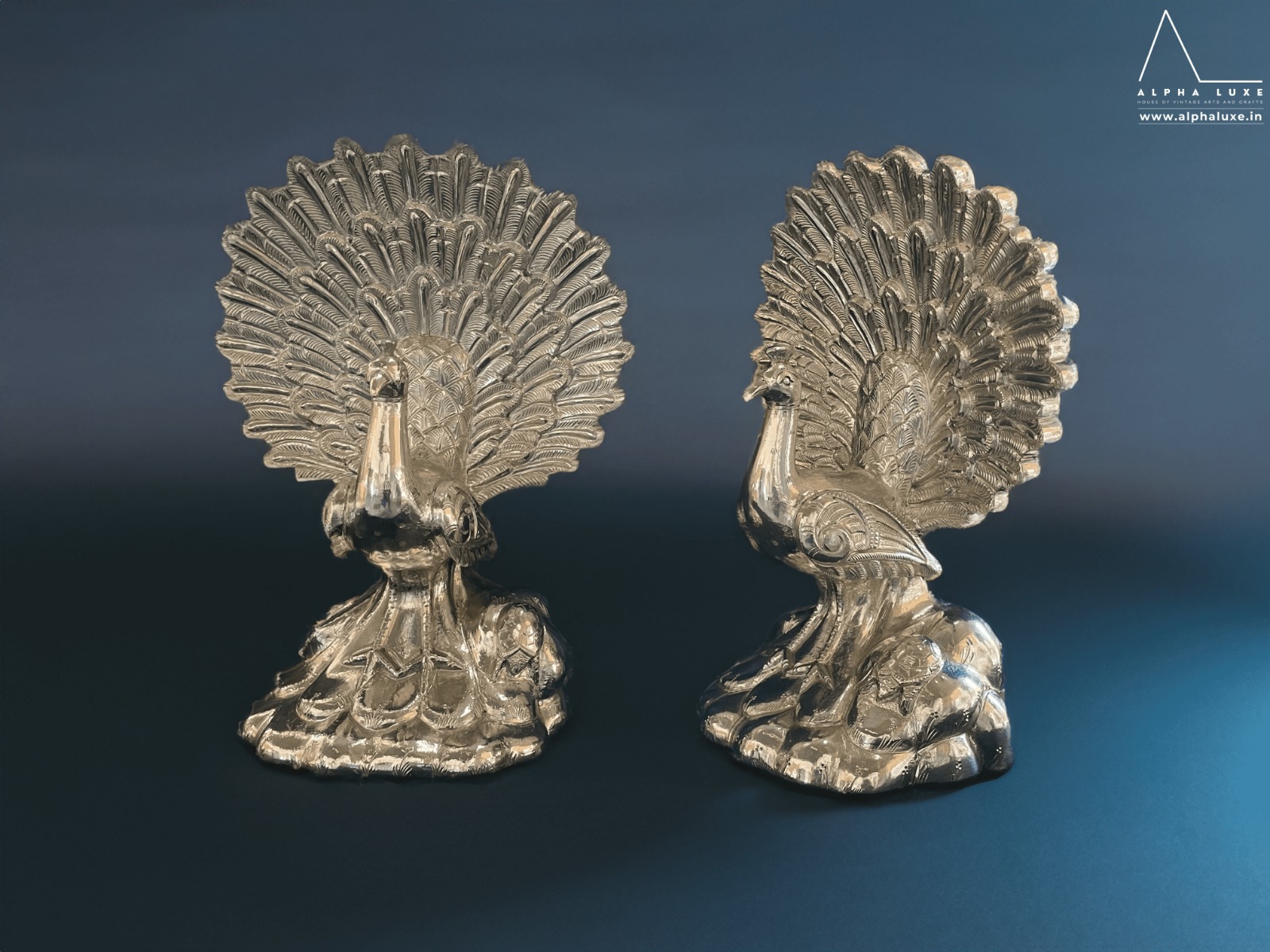 WhatsApp Image 2023-10-21 at 11.50.00 AM (14).jpeg